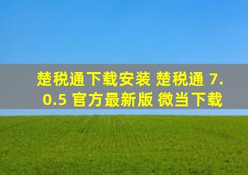 楚税通下载安装 楚税通 7.0.5 官方最新版 微当下载